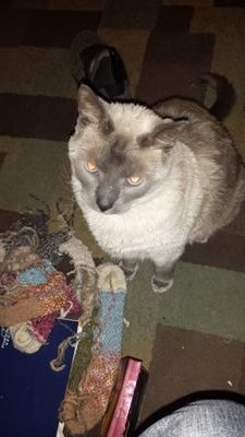 My Husband and I Love to find and sell vintage goods. I have a great expanding etsy store and we list a bunch of stuff on ebay also.