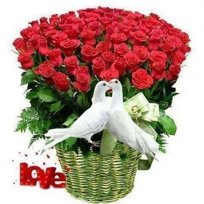 LOVE CAN CONQUER THE WHOLE WORLD.