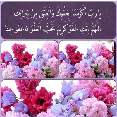 لا إلہ إلا ﭑنت♡ سَبحاانڳ ربيَ انيَ ڳنٺ منَ الظاالميَن♥