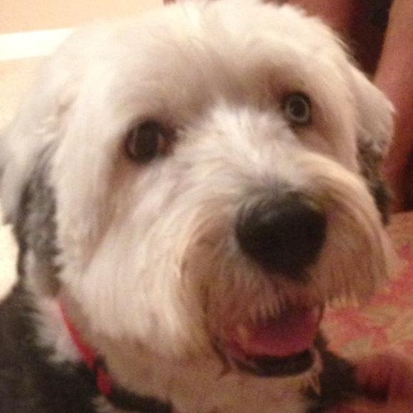 gordonbob's profile picture. Just packing my suitcase for a place none of us have been.
A place that has to be believed to be seen ...