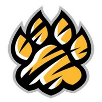 Towson at USG (@towsonusg) 's Twitter Profile