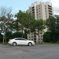 MikGotier 🇨🇦 (@mikgotier) 's Twitter Profile