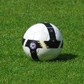 557981's profile picture. 