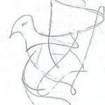 Mumblebirds's profile picture. 