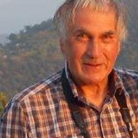 Tim Inskipp (@timinskipp) 's Twitter Profile