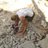 Sini_Koo's profile image