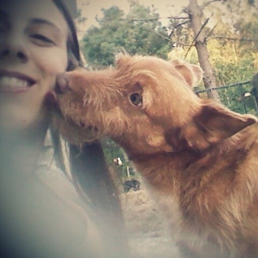 tusunatalia's profile picture. 