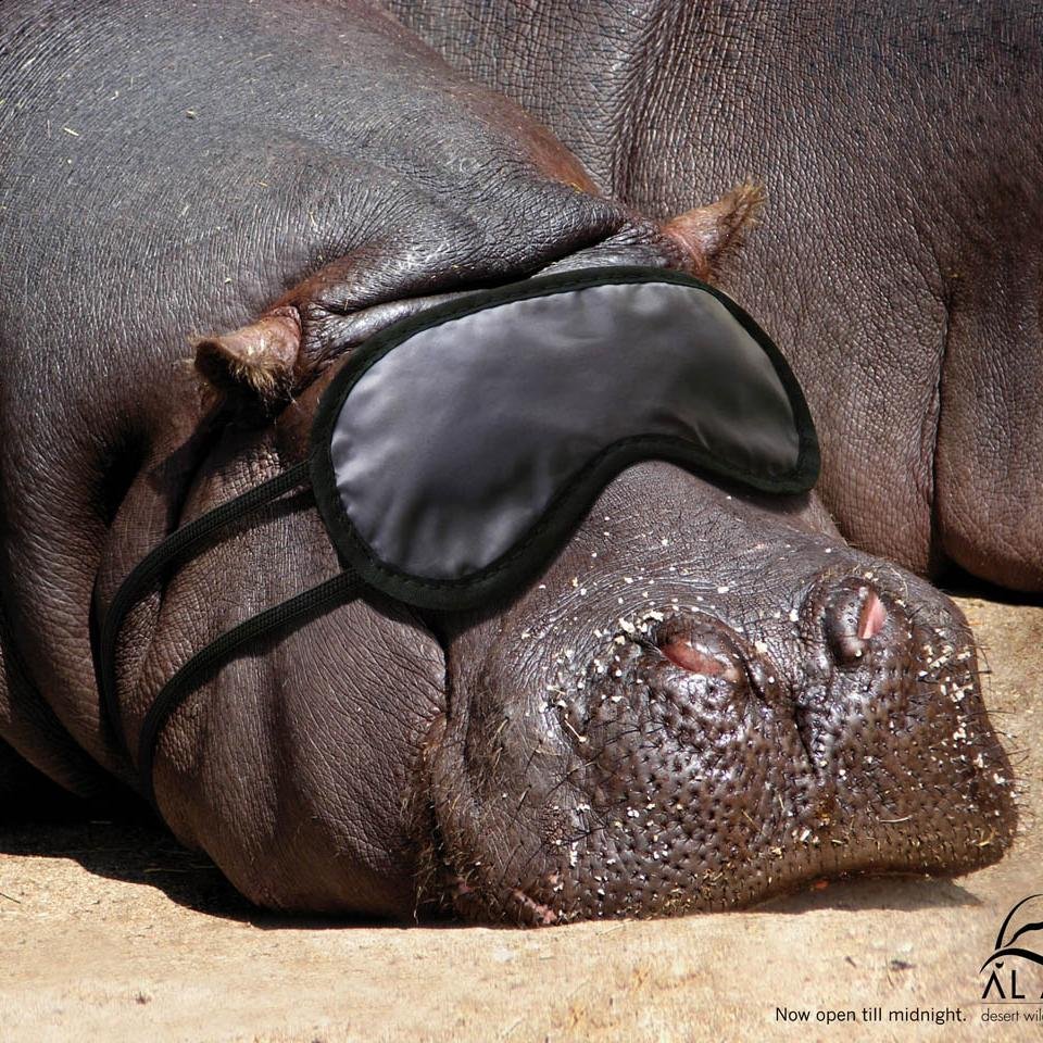 JikkeKooren's profile picture. 