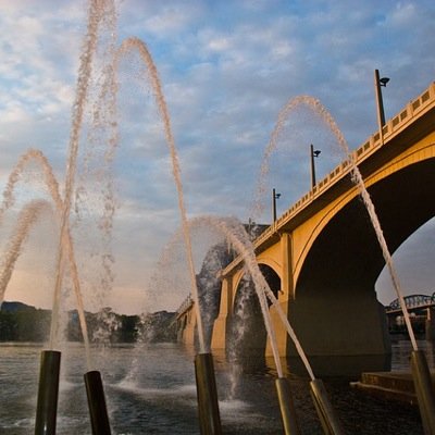 chattazen's profile picture. A citizen guide to keeping our heads down and not provoking the power structure.