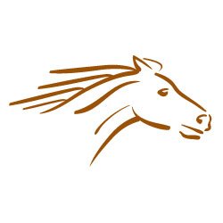 Full service accounting & financial consulting firm at the heart of the Vancouver Island community since 1982.