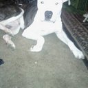 thomas dewitt brown - @dewittbrownthom - Twitter