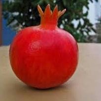 ZuhrabQado's profile picture. 