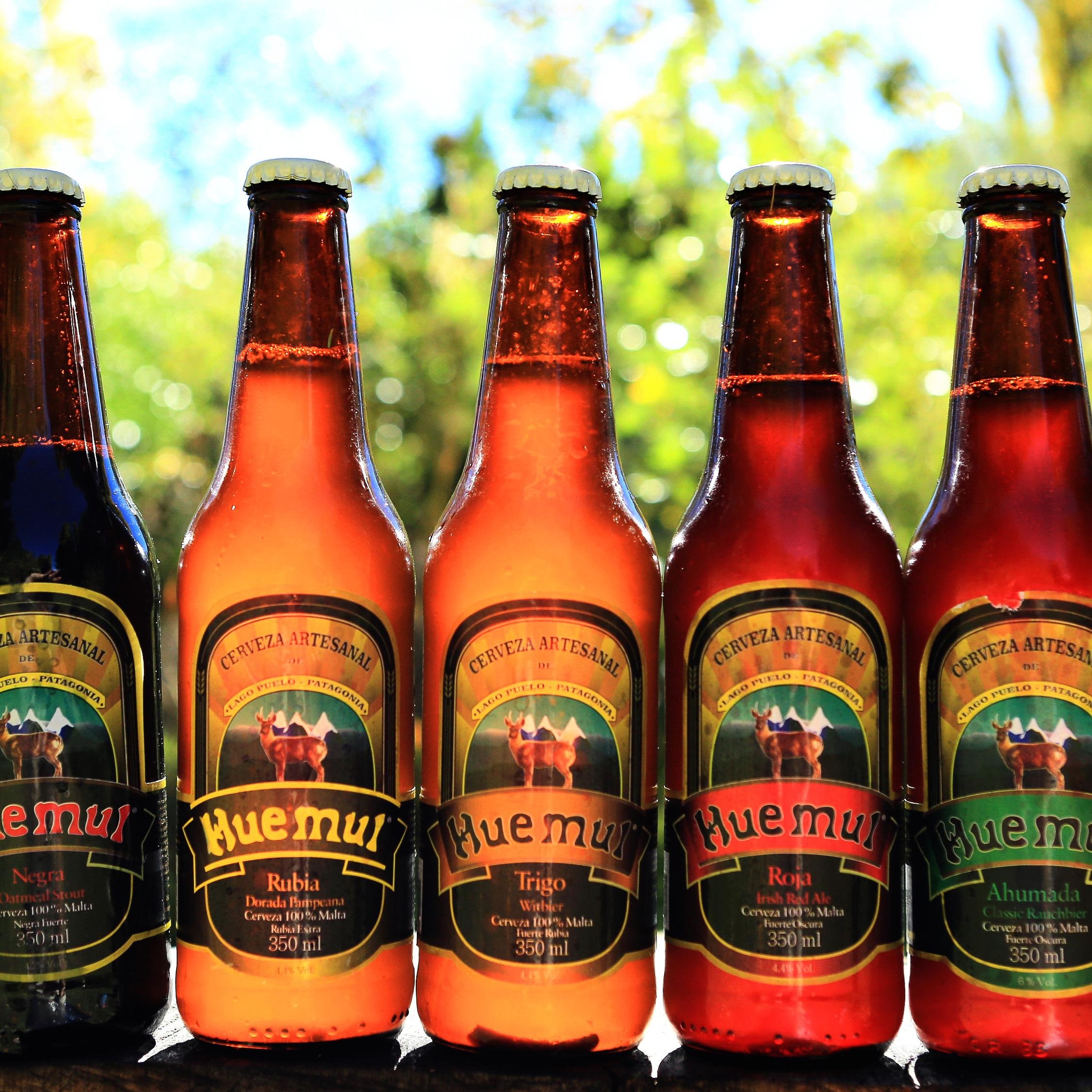 DISTRIBUIDORA DE CERVEZA ARTESANAL PATAGONICA