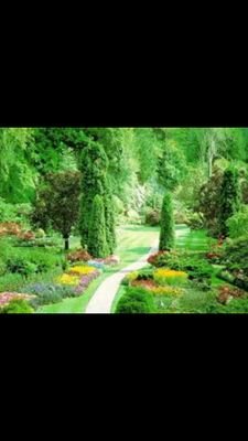 Moot300k's profile picture. 