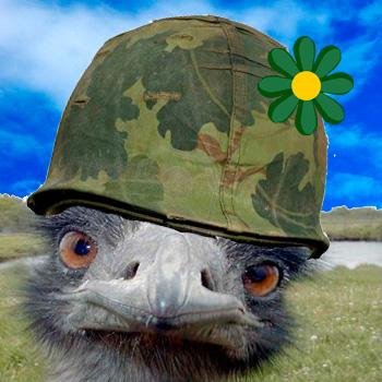 Si te enojás por lo que dice una avestruz con casco, fijate.. Podrías ser un pelotudo..