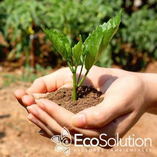 ecosolutionchih's profile picture. Somos una empresa que ofrece servicios y productos para huertos urbanos y jardines ecológicos