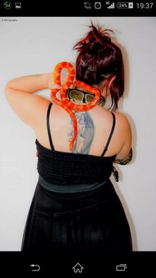 amande2740's profile picture. 