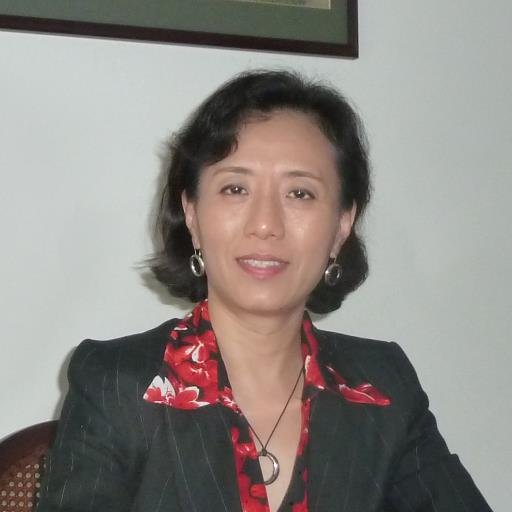 Chief architect, thought leader, executive, innovator, professor, over 20 years in academia, corporate research, software industry, and consulting service.