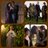 Outlander_NL's profile image