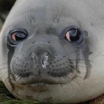 Just a sad seal