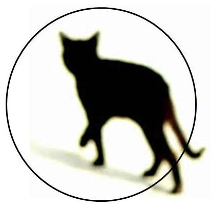 Curieux exacerbé, joueur de mots, j'aime les regards en biais, le rock, les livres et la BD. Je suis un chat qui passe.