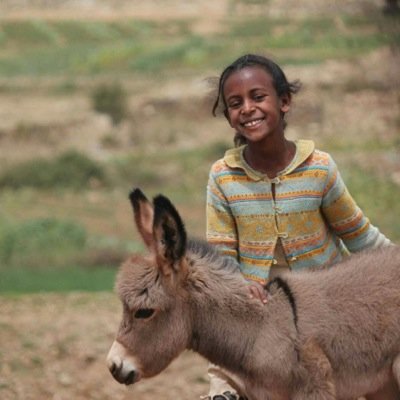 TsegayMeakf's profile picture. 