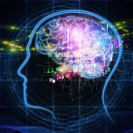 Georgetown University Department of Neuroscience