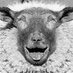 John Bowman (@dollythetweet) Twitter profile photo John Bowman (@dollythetweet) Twitter profile photo