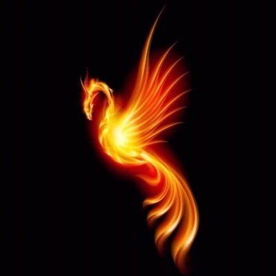 drsole95's profile picture. 