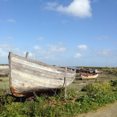 sebc5's profile picture. 