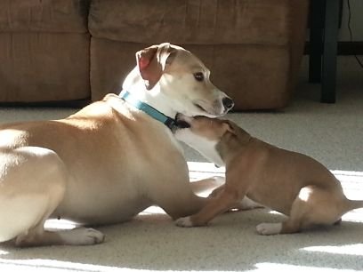 washburnshanna's profile picture. 