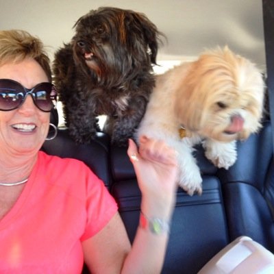 jrlimey's profile picture. 