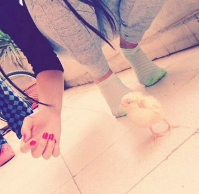 randtarawneh2's profile picture. rand tarawneh 18  insta tarawneh.rand  face rand tarawneh kik rand tarawneh