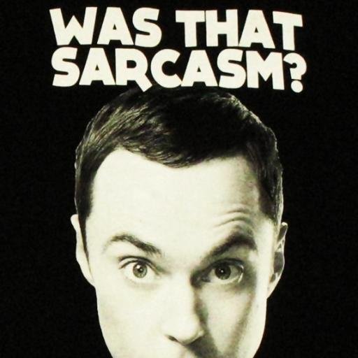 In my opinion, I think sarcasm and humor in a song, without turning it into a novelty song, is really charming.
