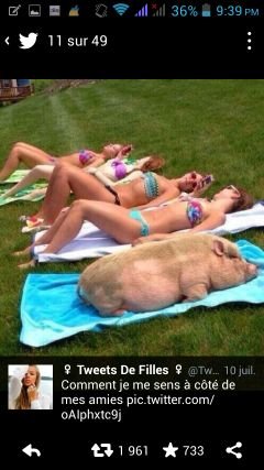 AffishFb's profile picture. 