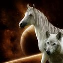 Lori Erwin - @LoriErwin3 - Twitter