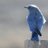 birdfossil's profile image