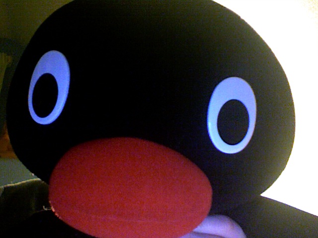 lostpenguin's profile picture. Writer, Sound Designer, Sound Recordist, Technical Operator, Gaelic Learner #cleachdi and (ex) Roller Derby Ref. All opinions my own not my employers.