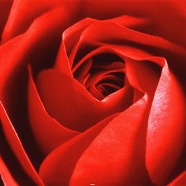 denizliev's profile picture. 