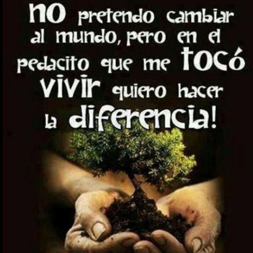 La Música Es Sinónimo De Libertad, De Tocar Lo Que Quieras & Como Quieras, Siempre Que Sea Bueno & Tenga Pasión, Que la Música Sea el Alimento del Amor.