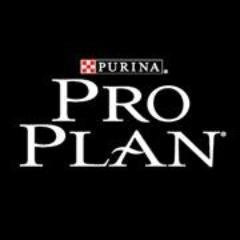 Pro Plan Chile