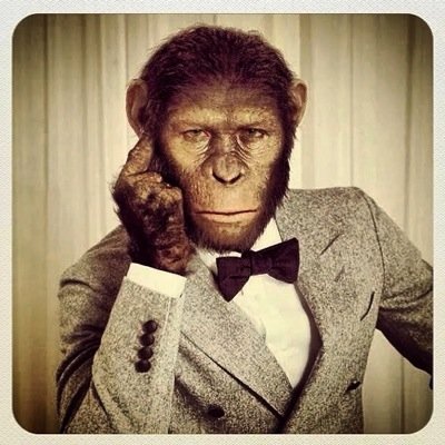 SparkSpreading's profile picture. I give and share random ideas of literally anything so tweet me if you have some ideas and i'll happily retweet.