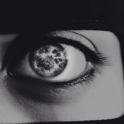 مدرسه لغه عربيه