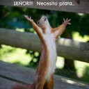 Danny gabriel rojas - @danny27663535 - Twitter