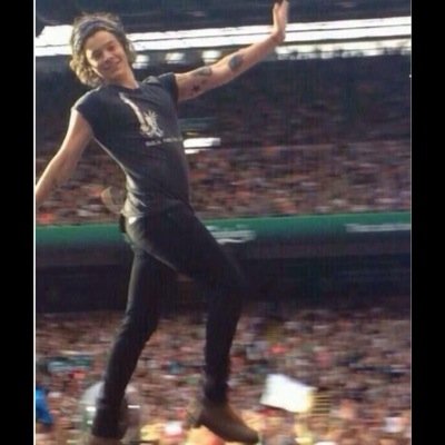 even if you don't like harry...you like harry