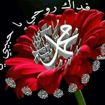 لا اله الا انت سبحانك اني كنت من الظالمين اشهد ان لا اله الا الله وحده لا شريك له ولا معبود سواه واشهد ان محمد رسول الله الخاص مهمل