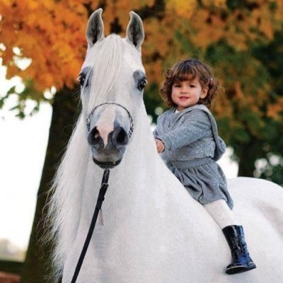 Abu_Ghala011's profile picture. Saudi Arabia ( Yanbu )