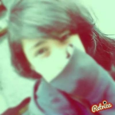 a505053fba1541e's profile picture. 