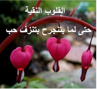 الصداقه والوفاء اجمل شعور