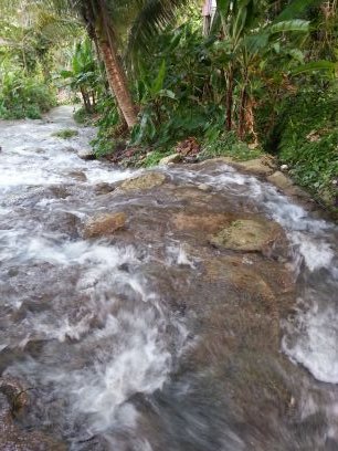 kallissi's profile picture. Just a simple island girl!